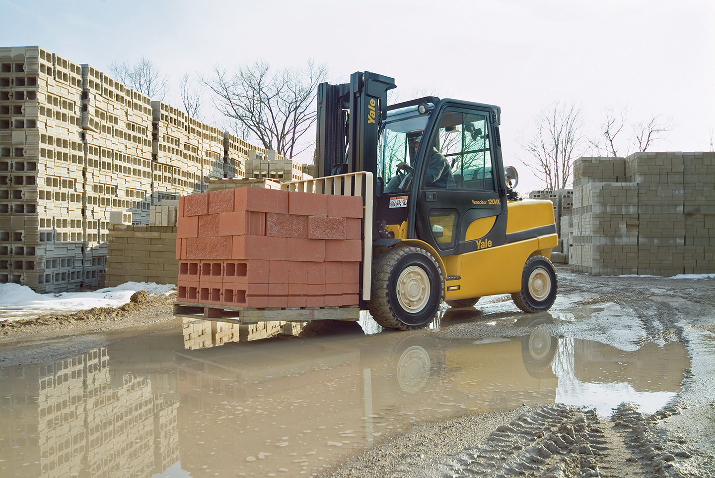 50565dbb-b5aa-44e8-bbe0-8143ed9e8811