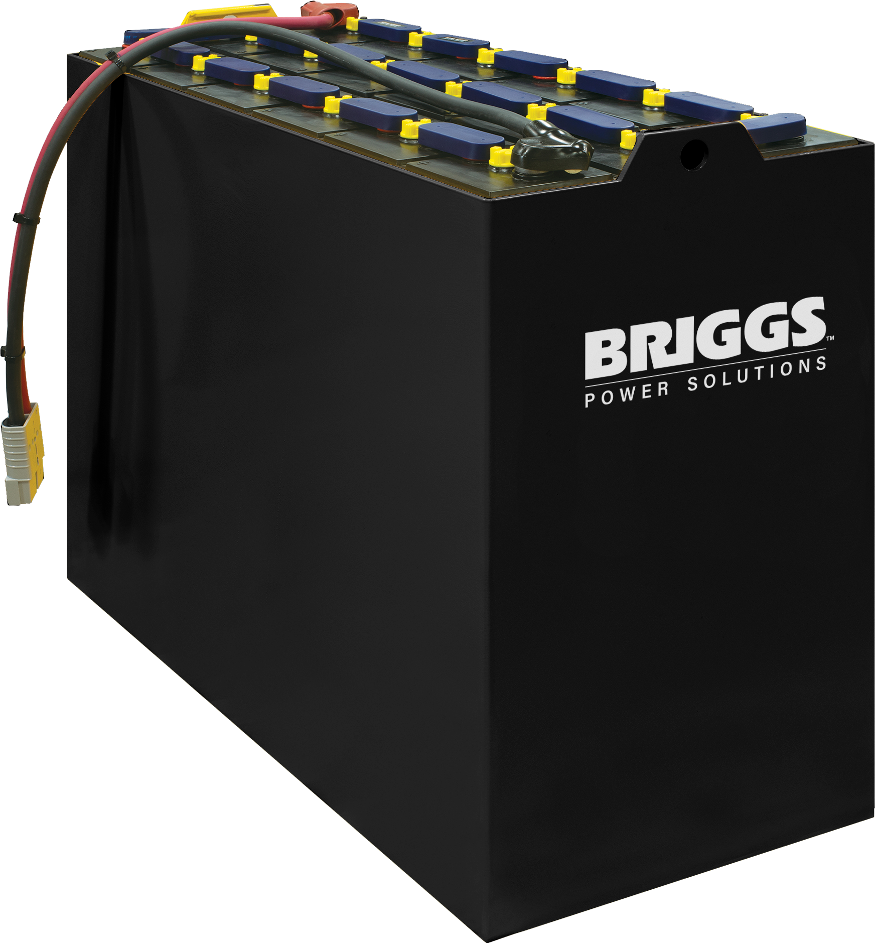 Industrial Battery with Briggs label