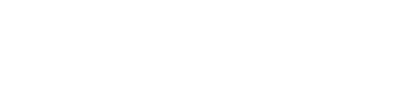 Briggs Power Solutions logo